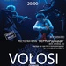 afisha_volosi-A3_odes